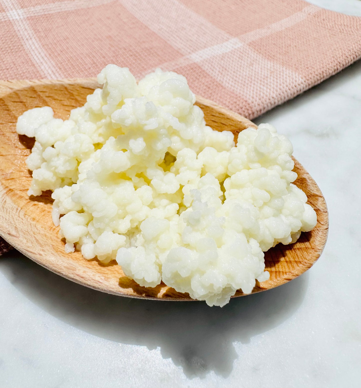 Natural Live Milk Kefir Grains -  Active Starter Culture - NatuDelight