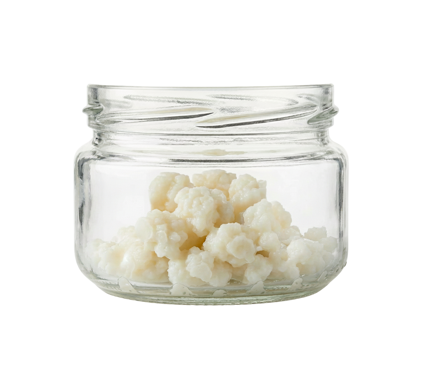 Natural Live Milk Kefir Grains -  Active Starter Culture - NatuDelight